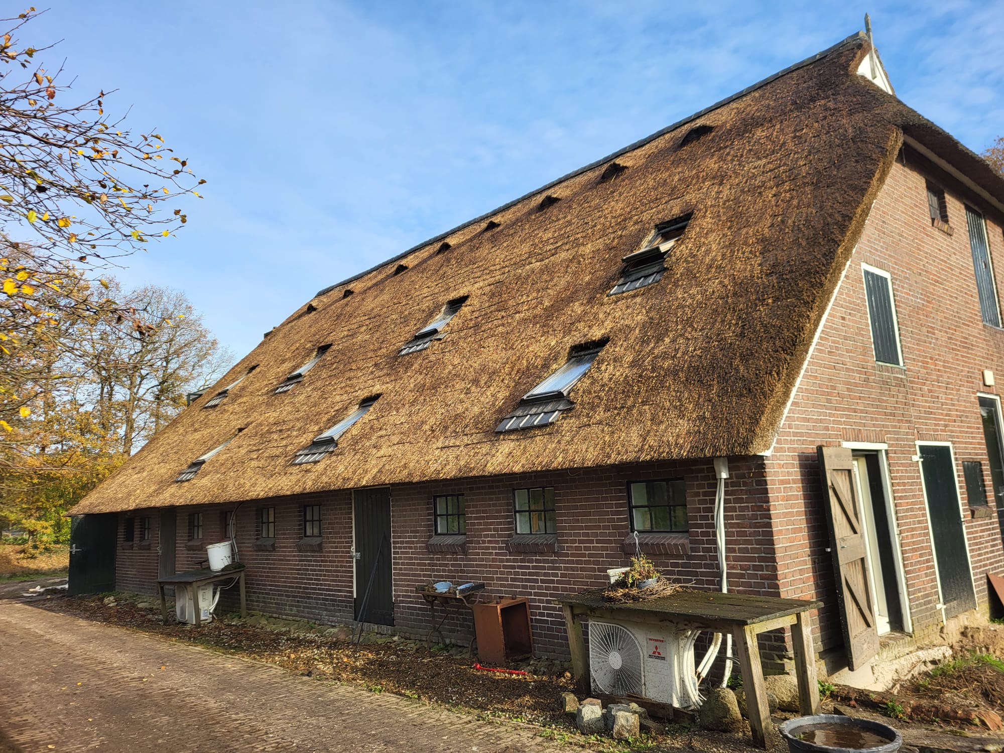 rieten-dak-boerderij