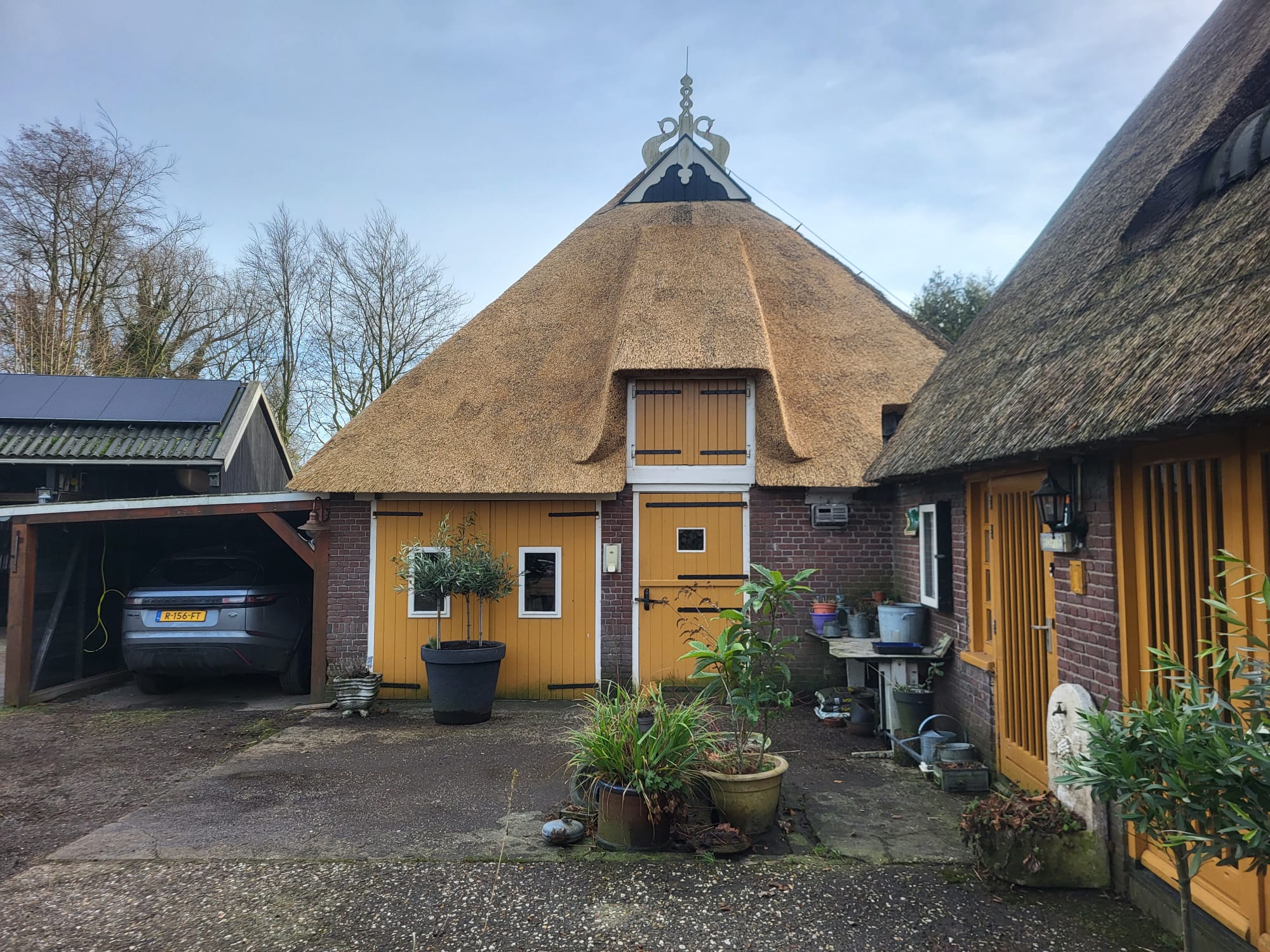 nieuw-rieten-dak